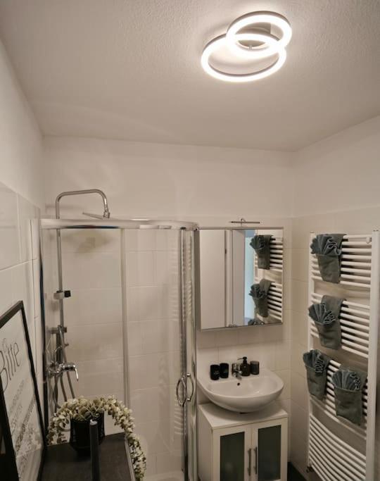 3 Zimmer Ferienwohnung 80Qm Bamberg Eksteriør billede